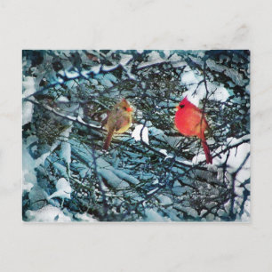 De liefde van de winter, briefkaart