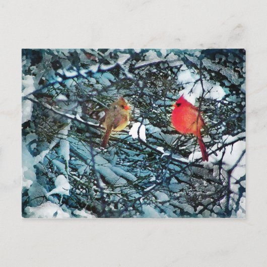 De liefde van de winter, briefkaart (Voorkant)