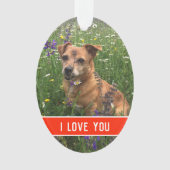 de liefde van een hond ornament (voorkant)