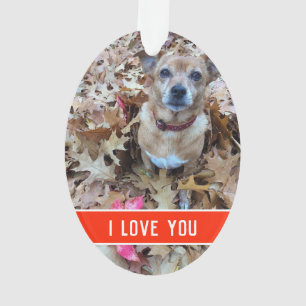 de liefde van een hond ornament