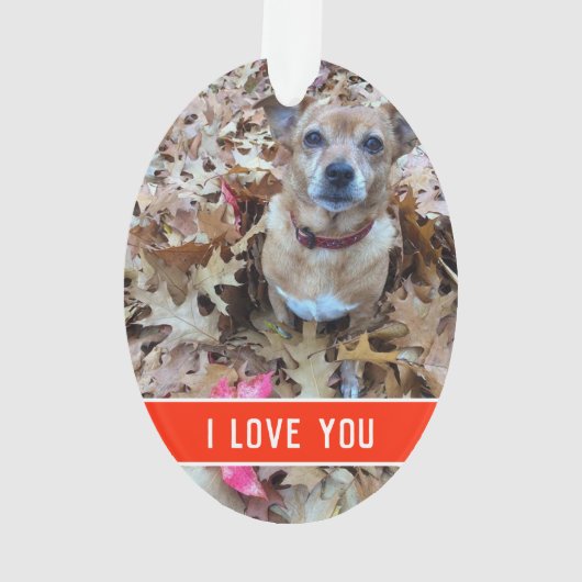 de liefde van een hond ornament (achterkant)