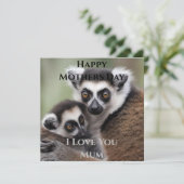 **"De liefde van een moeder: mama en Baby Lemur Kn (Staand voorkant)