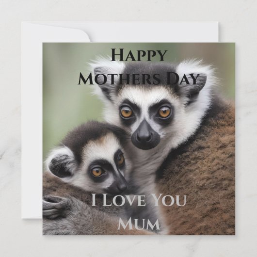 **"De liefde van een moeder: mama en Baby Lemur Kn (Voorkant)