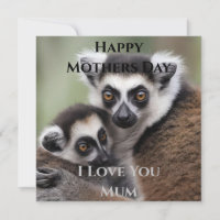 **"De liefde van een moeder: mama en Baby Lemur Kn