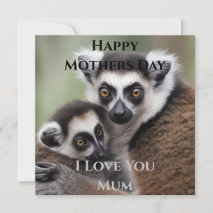 **"De liefde van een moeder: mama en Baby Lemur Kn
