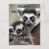 **"De liefde van een moeder: mama en Baby Lemur Kn Briefkaart (Voorkant)