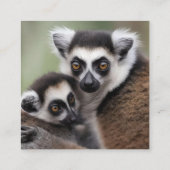 **"De liefde van een moeder: mama en Baby Lemur Kn Informatiekaartje (Achterkant)