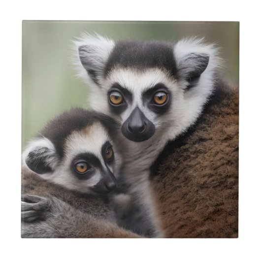**"De liefde van een moeder: mama en Baby Lemur Kn Tegeltje (Voorkant)