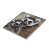 **"De liefde van een moeder: mama en Baby Lemur Kn Tegeltje (Zijkant)