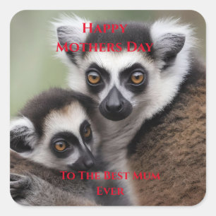 **"De liefde van een moeder: mama en Baby Lemur Kn Vierkante Sticker