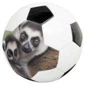 **"De liefde van een moeder: mama en Baby Lemur Kn Voetbal (Drie kwart)