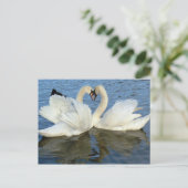 De Liefde van het Hart van de Zwaan van Chaperoned Briefkaart (Staand voorkant)