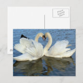 De Liefde van het Hart van de Zwaan van Chaperoned Briefkaart (Voorkant / Achterkant)