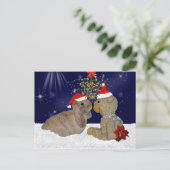 De Liefde van het konijntje bij het Briefkaart van (Staand voorkant)