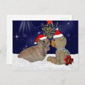 De Liefde van het konijntje bij het Briefkaart van (Voorkant / Achterkant)