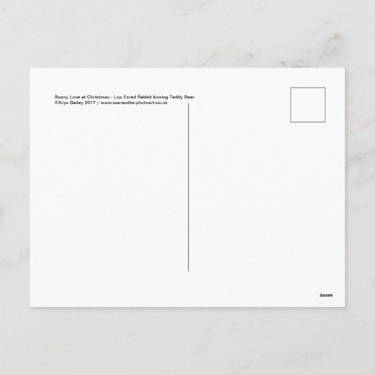 De Liefde van het konijntje bij het Briefkaart van (Achterkant)