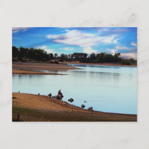 De liefde van het meer briefkaart