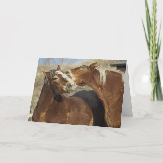 De Liefde van het paard Feestdagen Kaart (Voorkant)