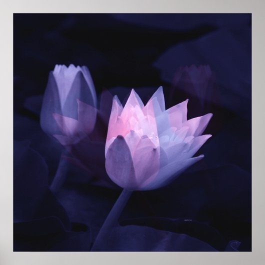 De liefde van leugens.... poster (Voorkant)