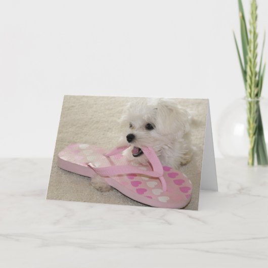 De liefde van schoenen kaart (Voorkant)