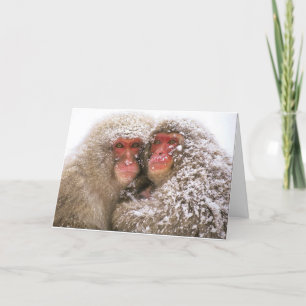 de liefde verovert allen kaart