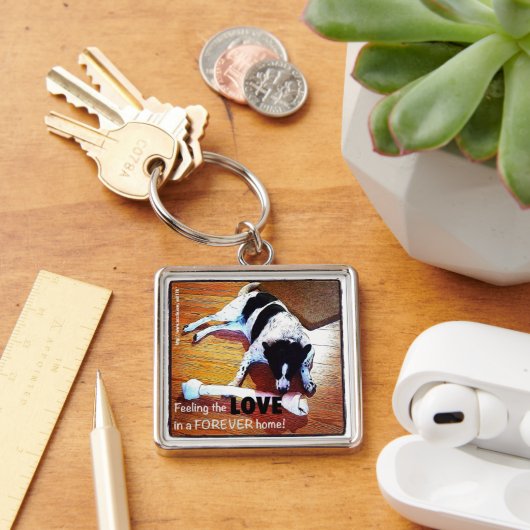 De liefdesgrenscollie voelen sleutelhanger (Bureau)