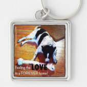 De liefdesgrenscollie voelen sleutelhanger (Voorkant)
