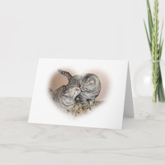 De liefdeWenskaart van de kat Kaart (Voorkant)