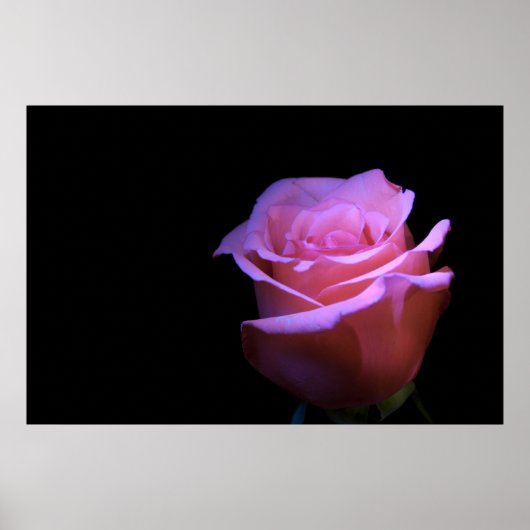 De liefste ventilator die blaast... poster (Voorkant)