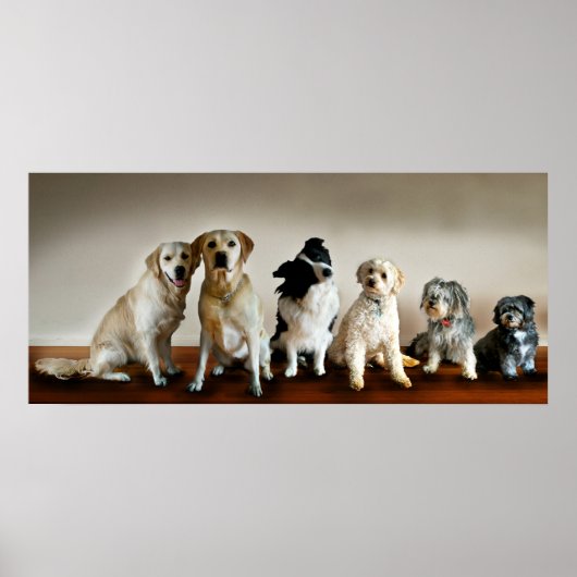 De lijn omhoog poster (Voorkant)