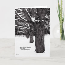 De Lijn van de esdoorn: Het Citaat van Emerson