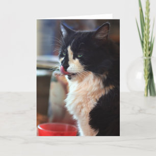 De Likken van Chloe Kaart