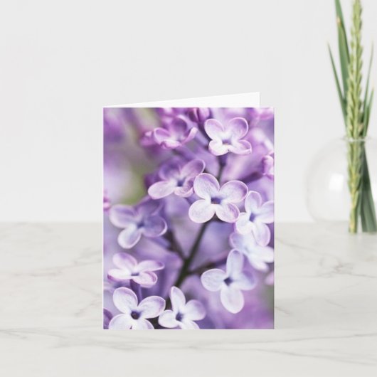 De lila Kaarten van de Nota (Voorkant)