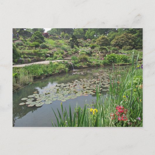 De Lily Pond bij RHS Wisley Briefkaart (Voorkant)