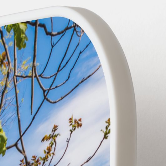 De Limmat-rivier, Zürich Pickleball Paddle (Links Detail)