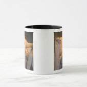 De Lincoln Memorial in Washington DC. Mok (Midden)