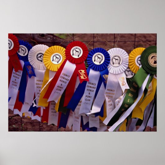 De linten poster (Voorkant)