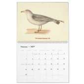 De Lithografieën van de zeemeeuw - van Vogels van Kalender (Feb 2027)