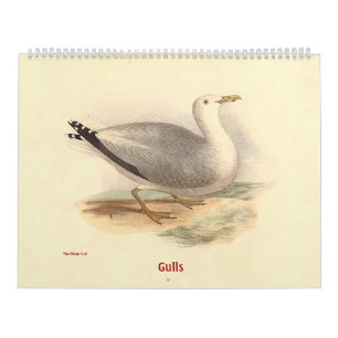 De Lithografieën van de zeemeeuw - van Vogels van Kalender