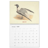 De Lithografieën van de zeemeeuw - van Vogels van Kalender (Jan 2027)