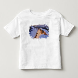 De Little Missouri-rivier in de winter in Kinder Shirts
