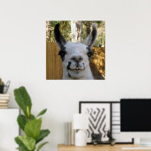 De Llama Poster (Thuiskantoor)