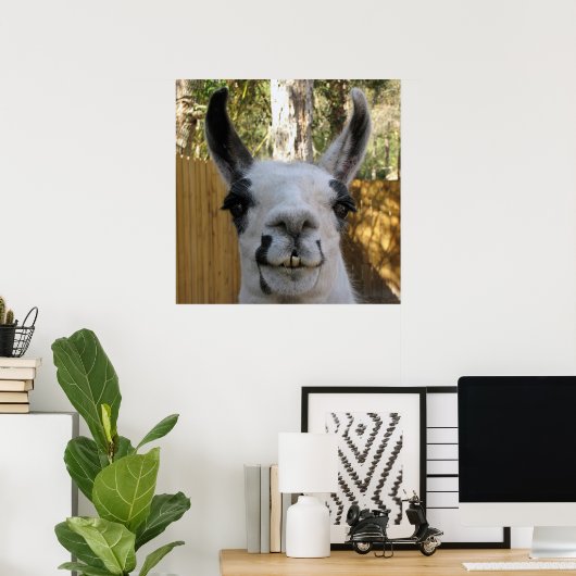 De Llama Poster (Thuiskantoor)