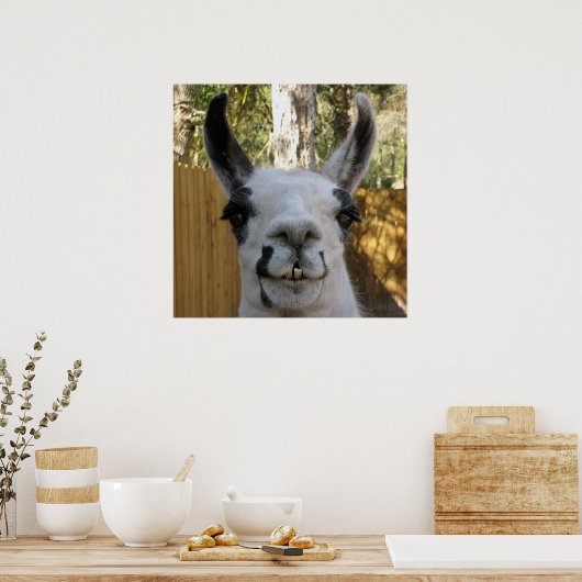 De Llama Poster (Keuken)