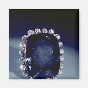 De Logan Brooch Magneet