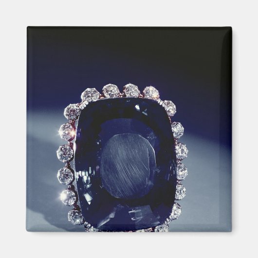 De Logan Brooch Magneet (Voorkant)