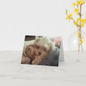 De Lolly Furiends Furever Lege Notecard van Cali Kaart (Gele Bloem)