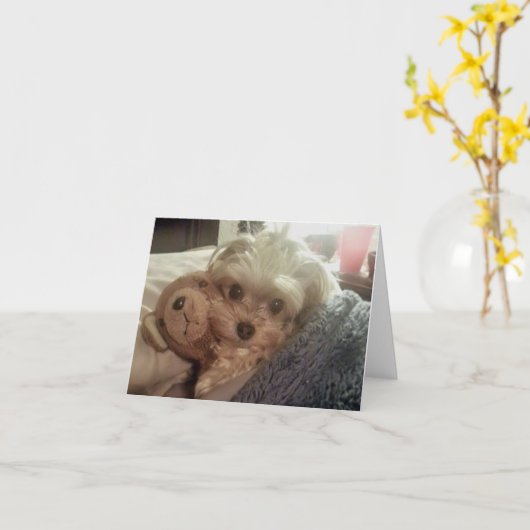 De Lolly Furiends Furever Lege Notecard van Cali Kaart (Gele Bloem)