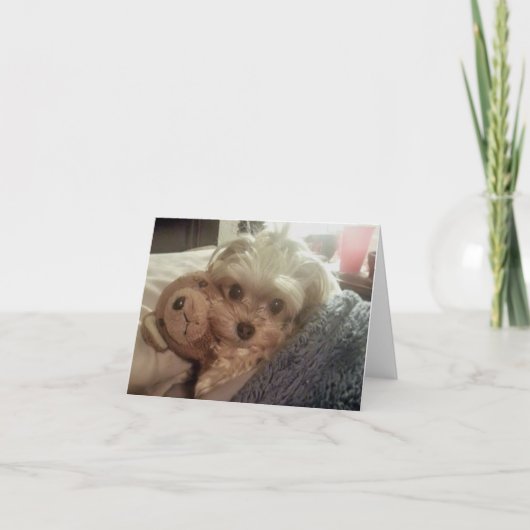 De Lolly Furiends Furever Lege Notecard van Cali Kaart (Voorkant)