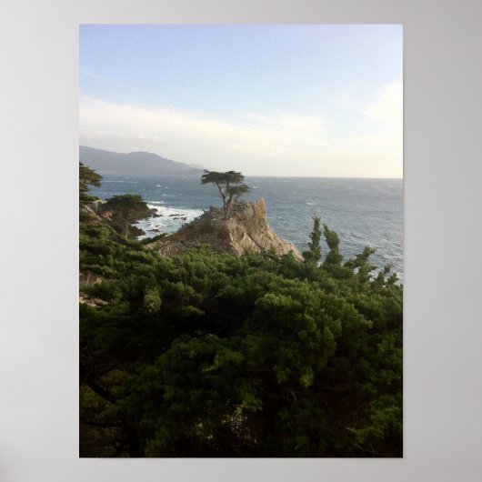 De Lone Cypress van Monterey Poster (Voorkant)
